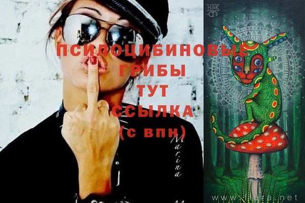 трава Алзамай