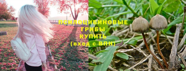 мдпв Пестово