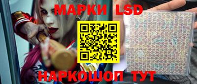 ПСИЛОЦИБИНОВЫЕ ГРИБЫ Новозыбков