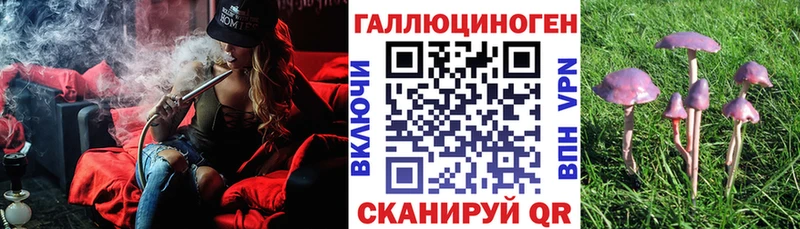 Галлюциногенные грибы Magic Shrooms  где можно купить   Ухта 