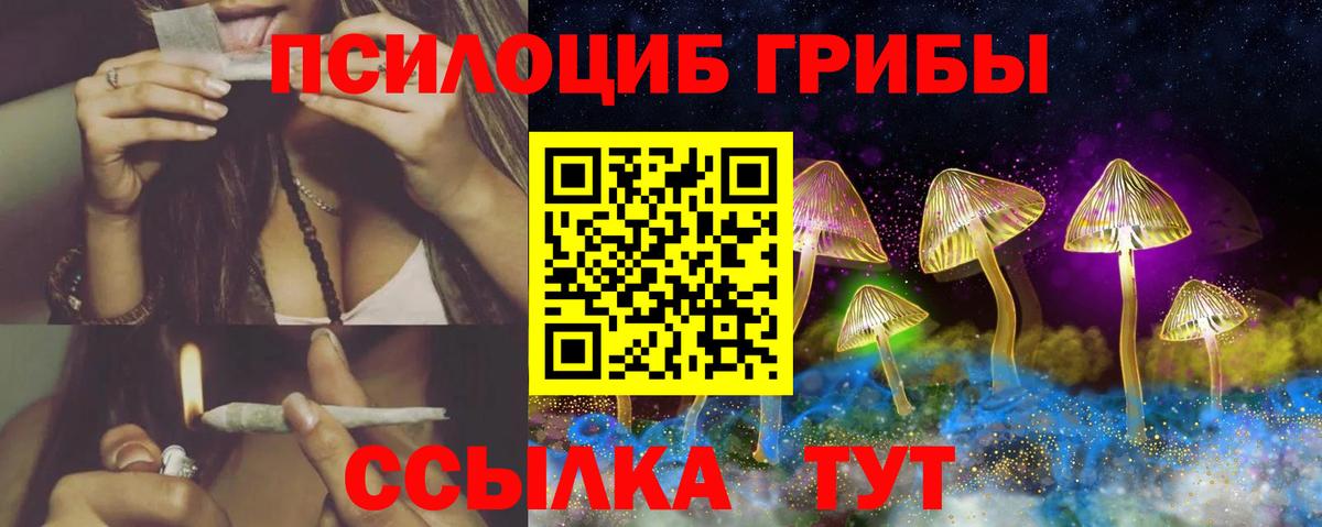 Галлюциногенные грибы Psilocybine cubensis Ухта
