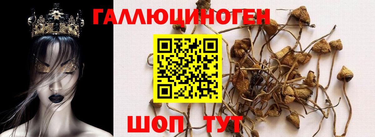 Ухта  Галлюциногенные грибы ЛСД  Вход с VPN 